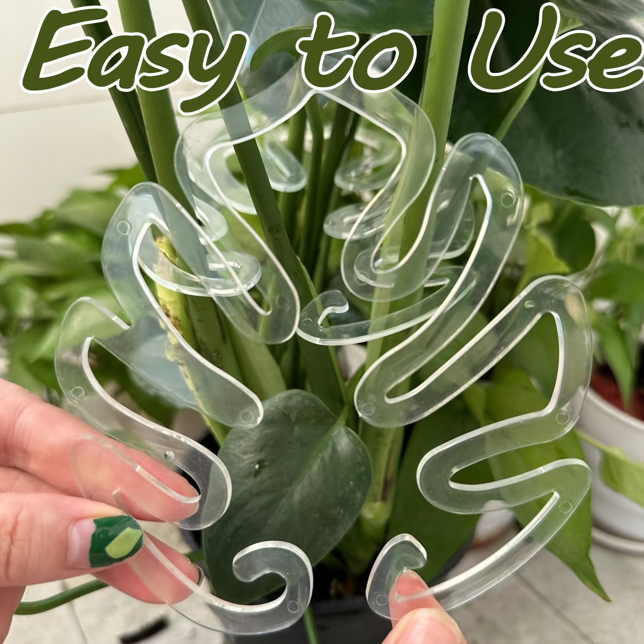 Variegated Monstera Node - Klip Penyangga Tanaman Monstera Plastik Fleksibel,