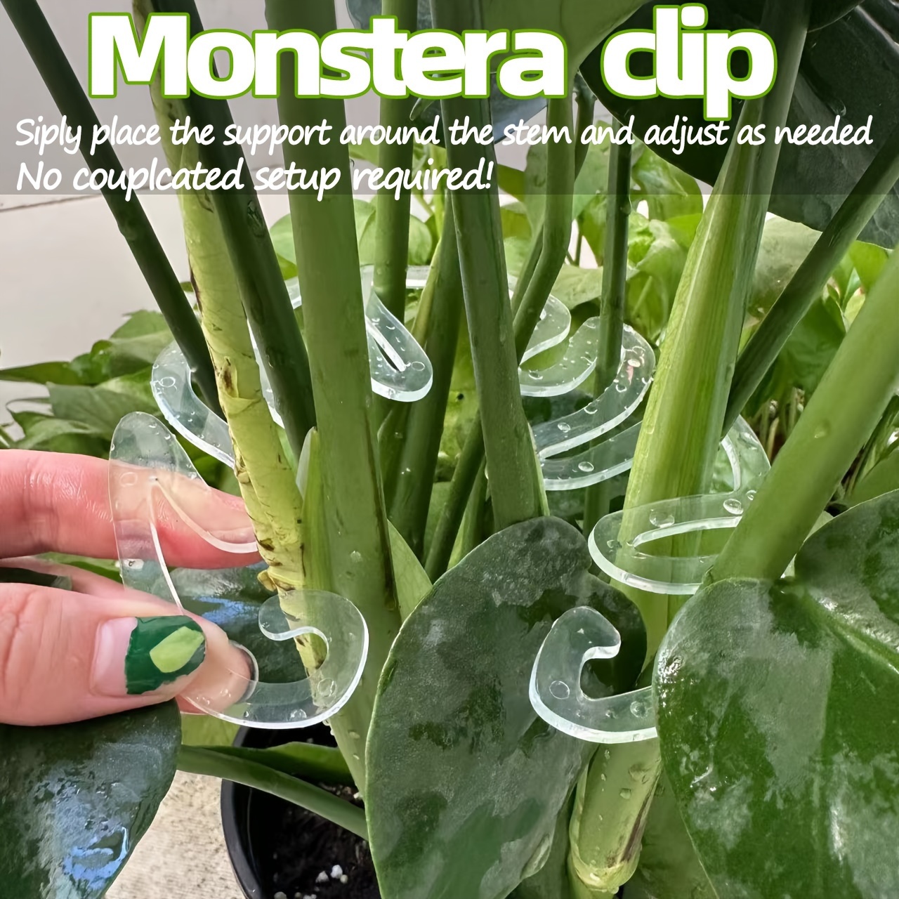 Klip Penyangga Tanaman Monster - Variegated Monstera Node ulasan dan harga