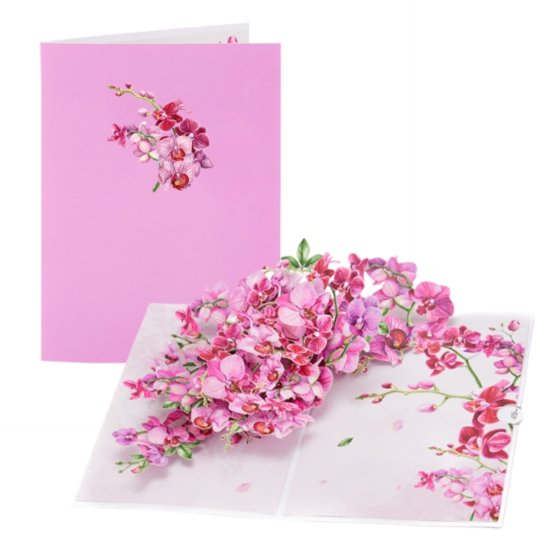 Kartu Ucapan Pop-up Anggrek Cy - Orchid Phalaenopsis ulasan dan harga