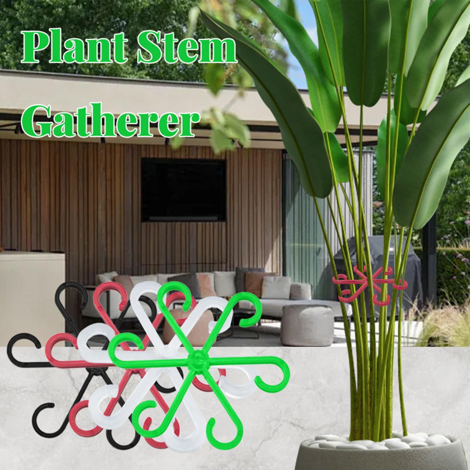 4 Buah Klip Penyangga Batang T - Variegated Monstera Node ulasan dan harga